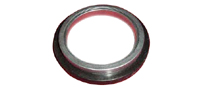 oil seal